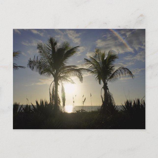 Cartão Postal Ilha Captiva (Frente)