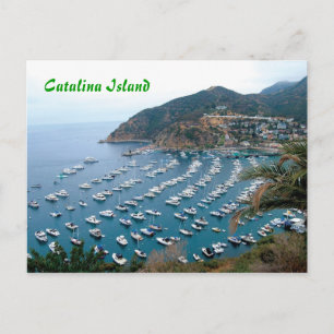 Cartão Postal Ilha Catalina