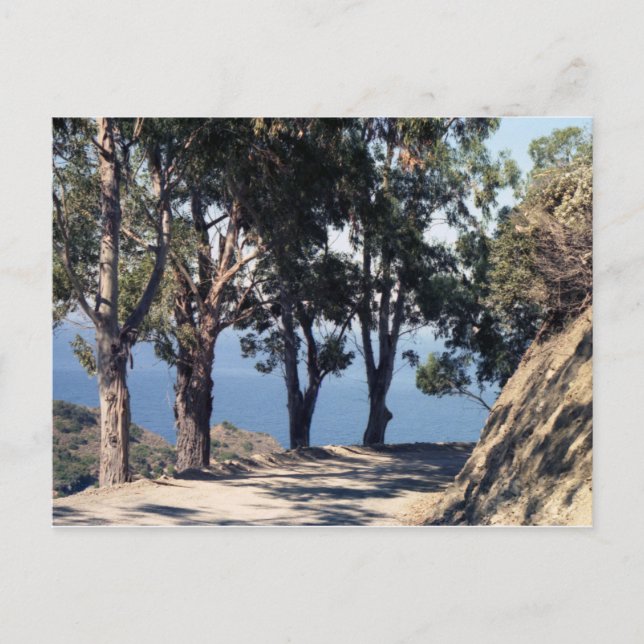 Cartão Postal Ilha Catalina (Frente)