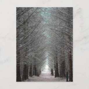 Cartão Postal Ilha da Floresta Mull