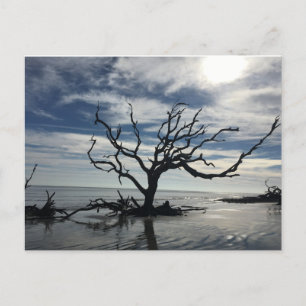 Cartão Postal Ilha de Jekyll Georgia