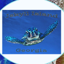 Ilha de Jekyll Georgia Nadando Tartaruga