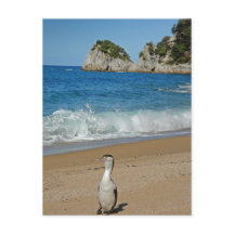 Ilha do Sul da Nova Zelândia