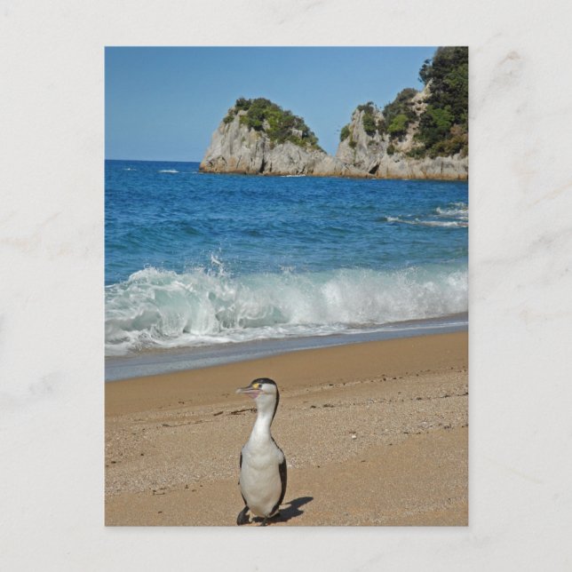 Cartão Postal Ilha do Sul da Nova Zelândia (Frente)