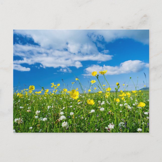 Cartão Postal ilha do Uist do Sul | Escócia (Frente)