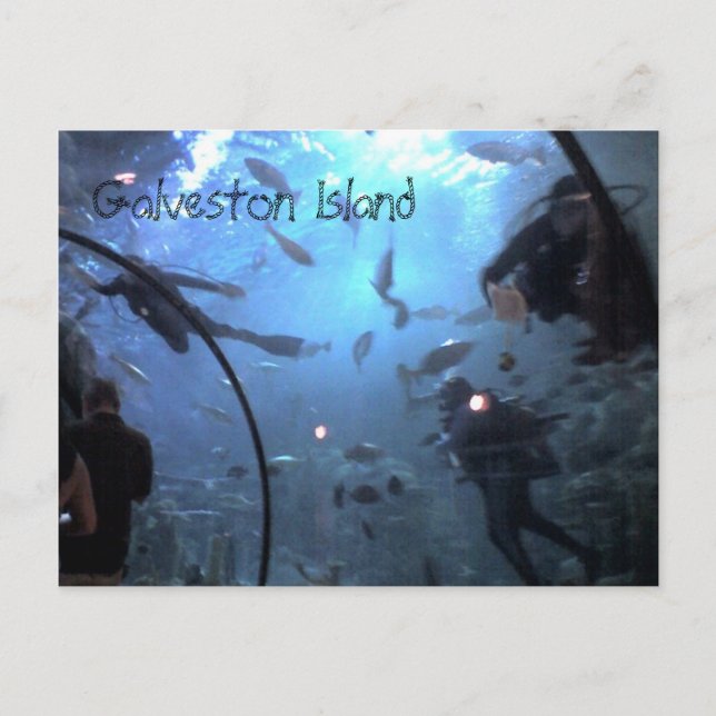 Cartão Postal Ilha Galveston (Frente)