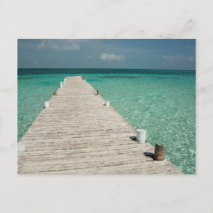 Cartão Postal Ilha Goff Caye, uma popular ilha do Barrier Reef