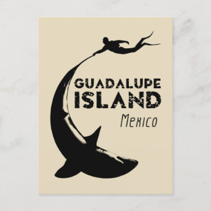 Cartão Postal Ilha Guadalupe México Mergulho Com Tubarões