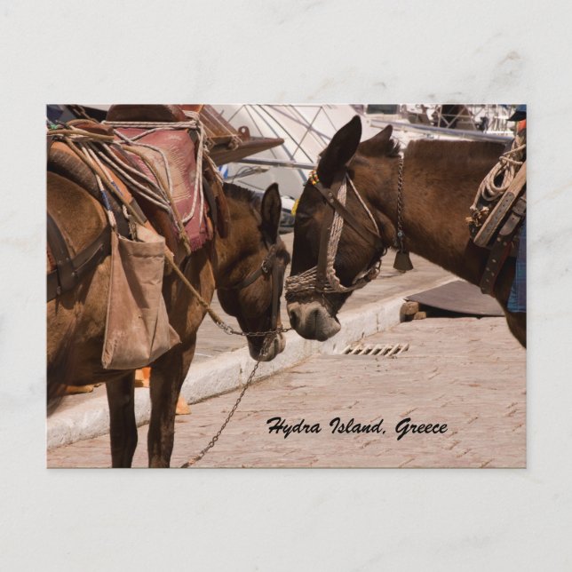 Cartão Postal Ilha Hydra, Grécia (Frente)