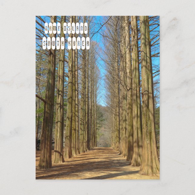 Cartão Postal Ilha Nami (Frente)