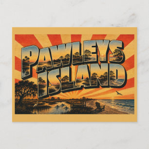 Cartão Postal Ilha Pawleys SC Floresta de Pântano Salgado Oceâni