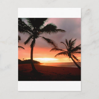 Cartão Postal Ilha Tropical Palms República Dominicana