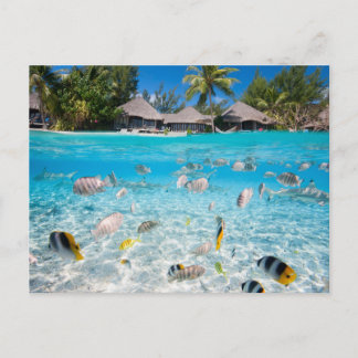 Cartão Postal Ilha Tropical sob e acima da água
