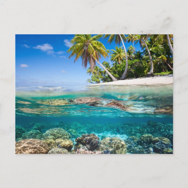 Cartão Postal Ilha Tropical sob e acima da água (Frente)