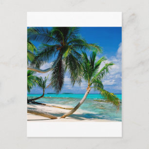 Cartão Postal Ilha tropical Tepuka Tuvalu