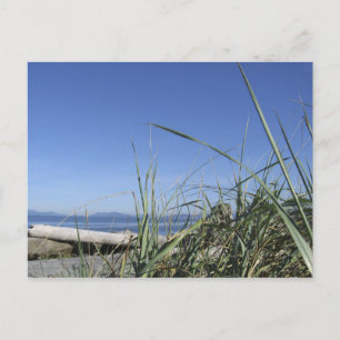 Cartão Postal Ilha Whidbey 5