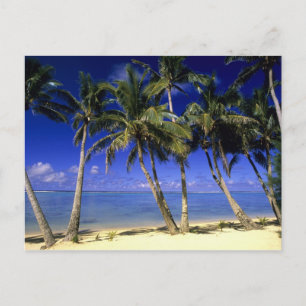 Cartão Postal Ilhas Cook de praia com Palm 4