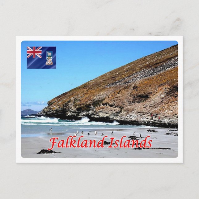 Cartão Postal Ilhas Falkland - (Frente)