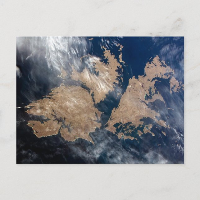 Cartão Postal Ilhas Falkland (Ilhas Malvinas). (Frente)