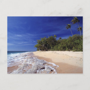 Cartão Postal Ilhas Fiji, Tavarua. Esta praia em Tavarua.