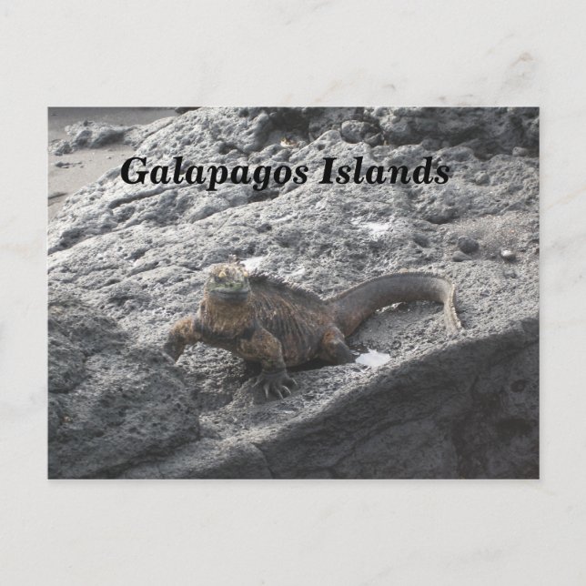 Cartão Postal Ilhas Galápagos (Frente)