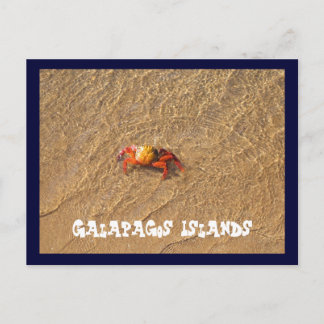 Cartão Postal Ilhas Galápagos