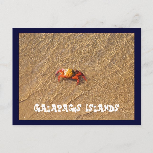 Cartão Postal Ilhas Galápagos (Frente)