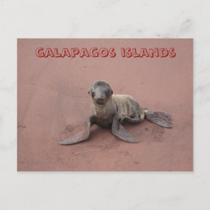 Cartão Postal Ilhas Galápagos