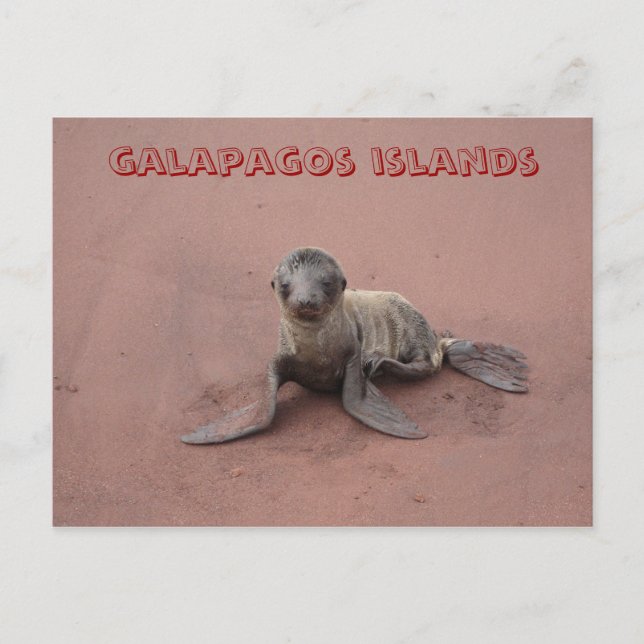 Cartão Postal Ilhas Galápagos (Frente)
