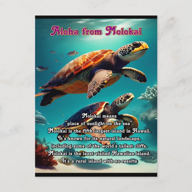 Cartão Postal Ilhas Havaianas Molokai Aloha (Frente)