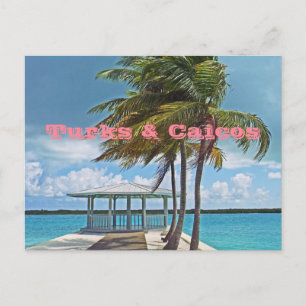 cartão postal, ILHAS TURCAS e CAICOS/PALM TREE, PI