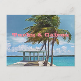 cartão postal, ILHAS TURCAS e CAICOS/PALM TREE, PI