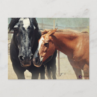 Cartão Postal Illusion & Rush