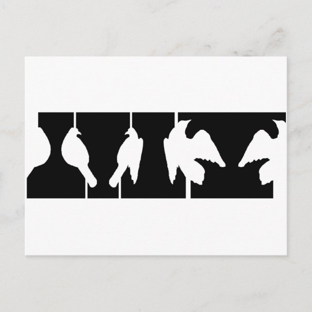 Cartão Postal Ilusão óptica de urnas ou aves a apanhar o voo (Frente)