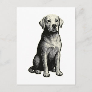 Cartão Postal Ilustração Antiga de Cachorro Sentado