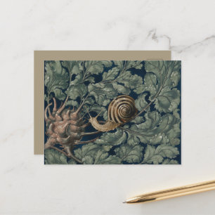 Cartão Postal Ilustração Antiga de Caracol Botânico Art Nouveau