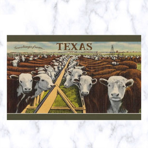 Cartão Postal Ilustração Antiga de Gado no Texas Central