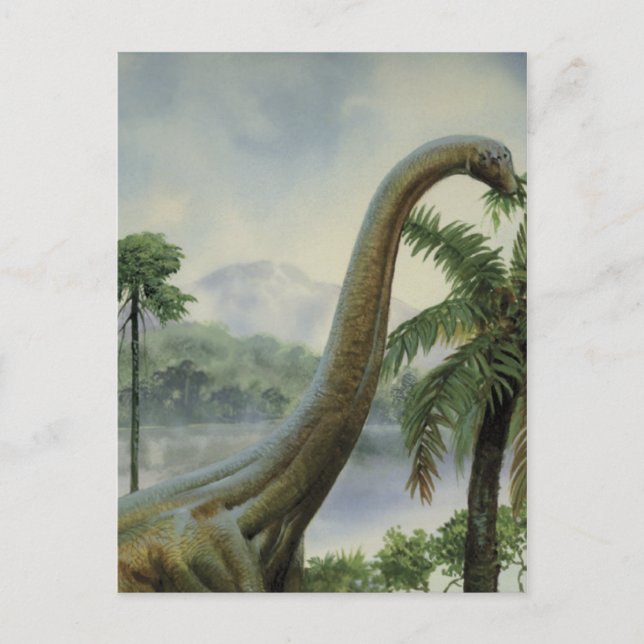 Cartão Postal Ilustração Ativa de Apatossauro (Brontosaurus) (Frente)