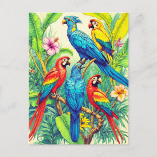 Cartão Postal Ilustração Botânica de Aves Tropicais