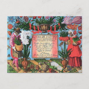 Cartão Postal Ilustração Botânica Francesa