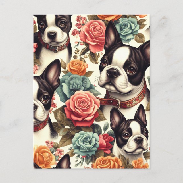 Cartão Postal Ilustração Cute Boston Terrier (Frente)