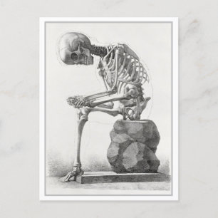 Cartão Postal Ilustração da Anatomia da Vintagem do Esqueleto As