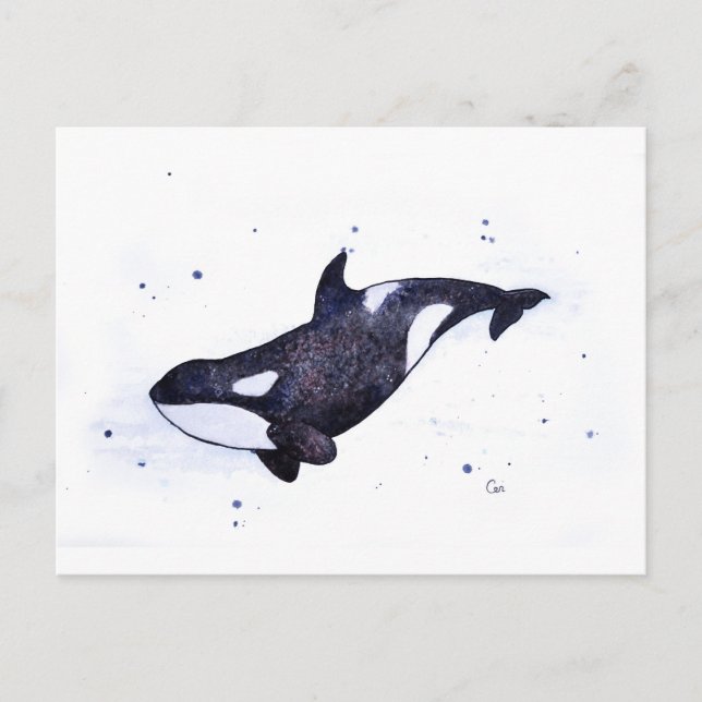 Cartão Postal Ilustração da baleia da Killer Orca (Frente)