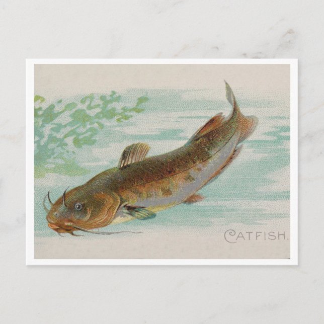 Cartão Postal Ilustração da colheita de peixes-cataratas (Frente)