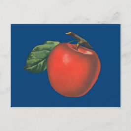 Cartão Postal Ilustração da fruta da Apple vintage