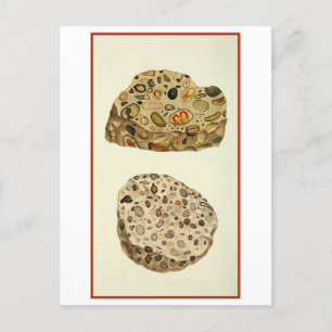 Cartão Postal Ilustração da Mineralogia da Pedra de Pudim Quartz