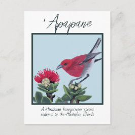 Cartão Postal Ilustração da Natureza do Havaí com Apapane e Flor