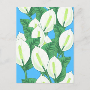 Cartão Postal Ilustração da Peace Lily