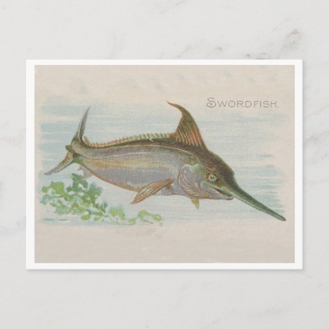 Cartão Postal Ilustração da pesca do espadarte (Frente)