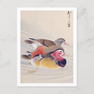 Cartão Postal Ilustração da safra: pato mandarim